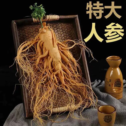 长白山正品人参煲汤泡酒专用鲜参