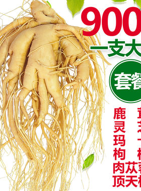 长白山正宗保鲜人参煲汤泡酒材料