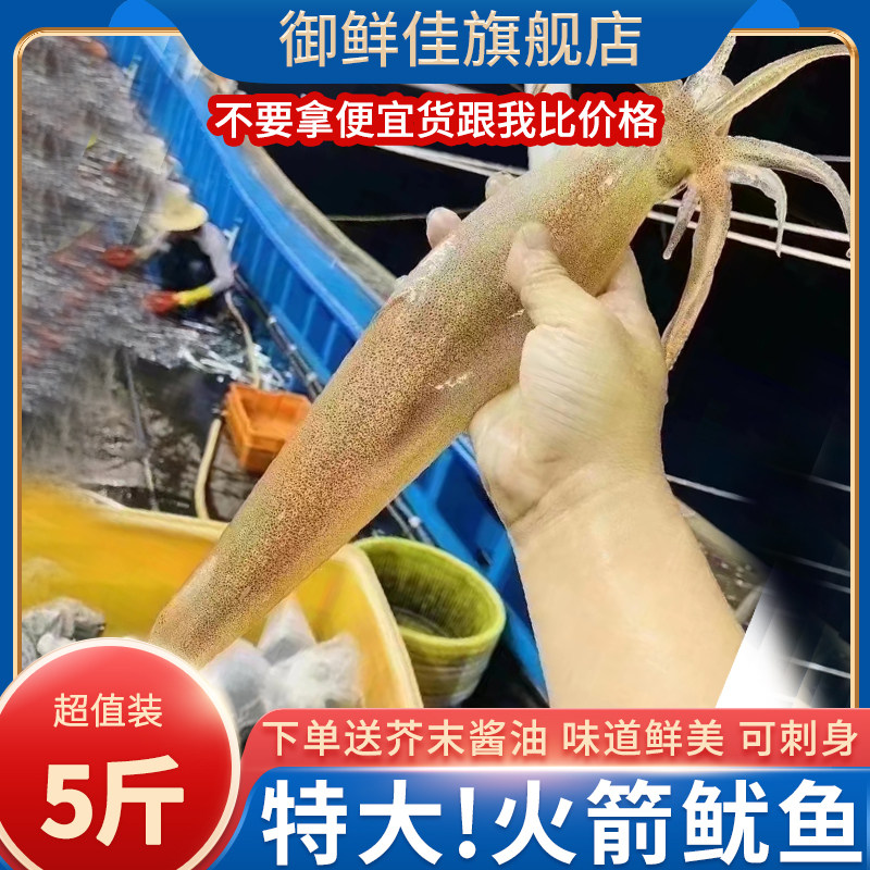 本港海钓火箭鱿鱼鲜活速冻海鲜水产刺身超特大鱿大管5斤海兔子