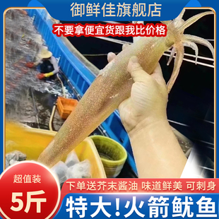 本港海钓火箭鱿鱼鲜活速冻海鲜水产刺身超特大鱿大管5斤海兔子