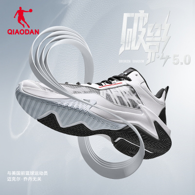 乔丹2025新款破影pro5篮球鞋