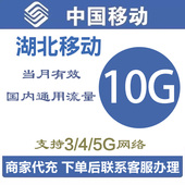 湖北移动全国流量10GB包加油包流量包流量充值全国4G 5G当月有效