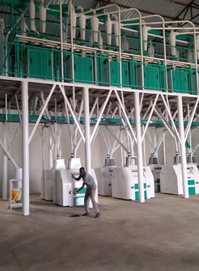 20吨玉米磨粉设备 非洲主食粗粉玉米粉mealie-meal希玛玉米磨粉机