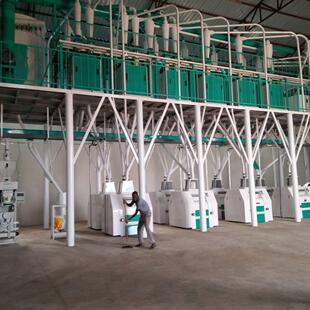 20吨玉米磨粉设备 非洲主食粗粉玉米粉mealie-meal希玛玉米磨粉机