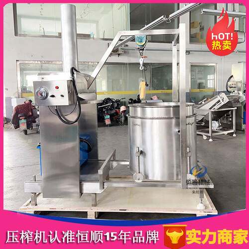 农家自酿梅子酒过滤提取榨汁机 发酵沙棘果原浆压榨机 液压压滤机