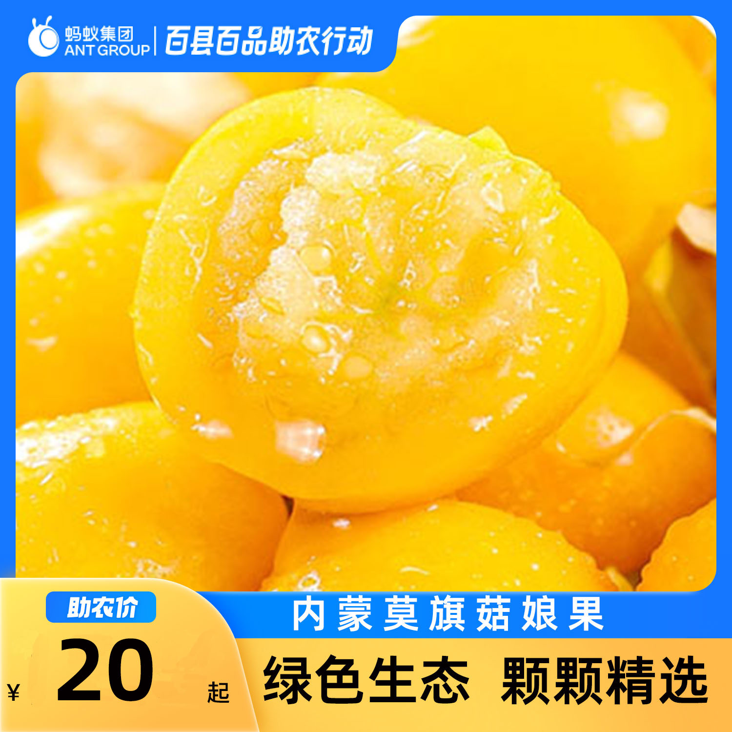 新鲜采摘菇鸟果莫旗菇茑坏果包邮