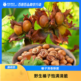 莫力达瓦达斡尔族自治旗榛子500g坚果干果零食包邮