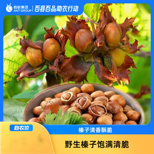 榛子东北特产产地直发