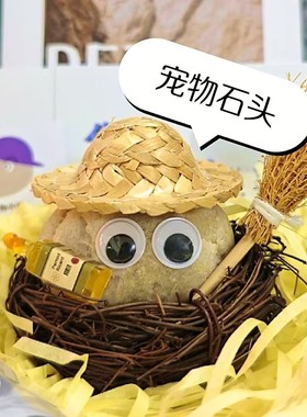 创意宠物石头迷你治愈情绪小摆件