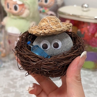 网红同款可以养的可爱宠物石头创意解压玩具儿童益智桌面摆件礼物