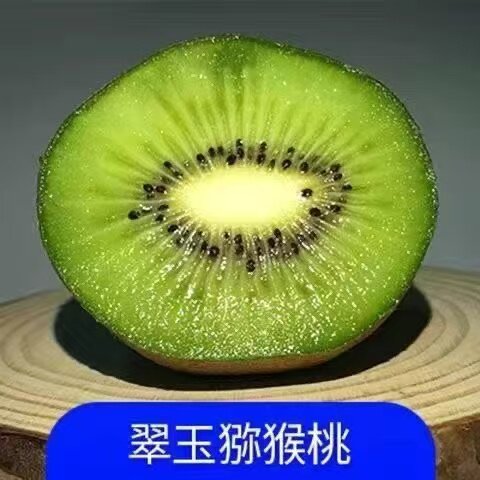 翠玉猕猴桃树苗南北方种植盆栽地栽猕猴桃苖脆甜当年结果猕猴桃