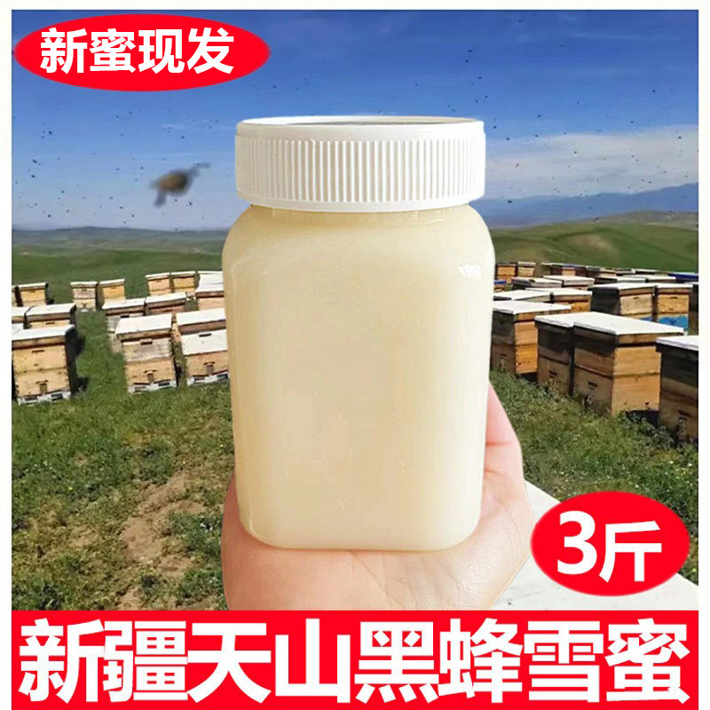 新疆天山雪蜜纯正土蜂蜜伊利黑蜂蜂蜜成熟结晶白蜜野山花蜜百花蜜