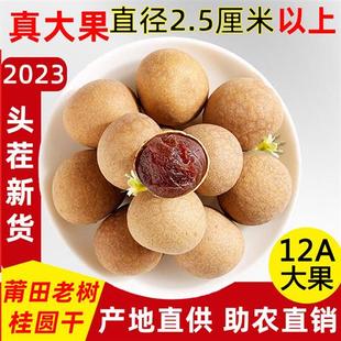 包邮 2023新货12A特级大桂圆干2斤 新鲜小核肉厚龙眼干福建莆田特产