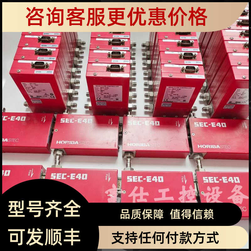 SEC-E40 E50 Horiba气体流量计3SLM  5SLM 20SLM 30SLM