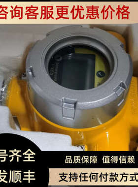 议价5200260-02A 3001B2337  Salwico GD ATEX) 气体探测器