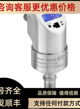 E+H恩德斯豪斯 流量开关 DTT31-A2A111AB2AAA