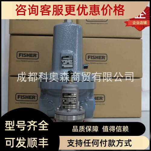 议价FISHER费希尔95L95H调压器MR95HT 98HP减压阀1098EZ调压阀
