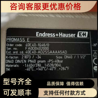 议价Endress + Hauser PROMASS E 40E40-1Q46/0 FA0D0402000