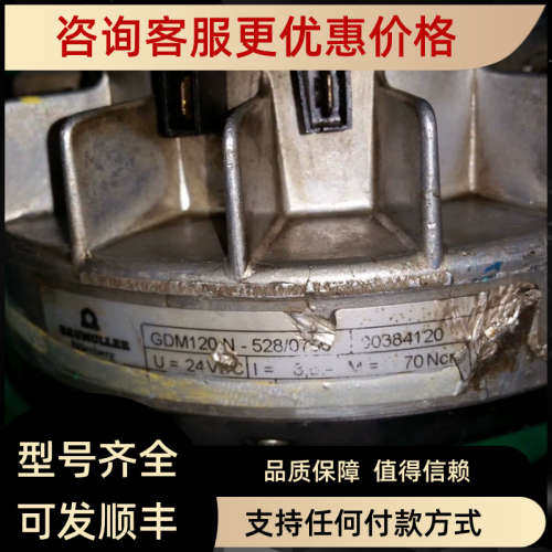 议价电机GDM120N-528/0750看描述议价