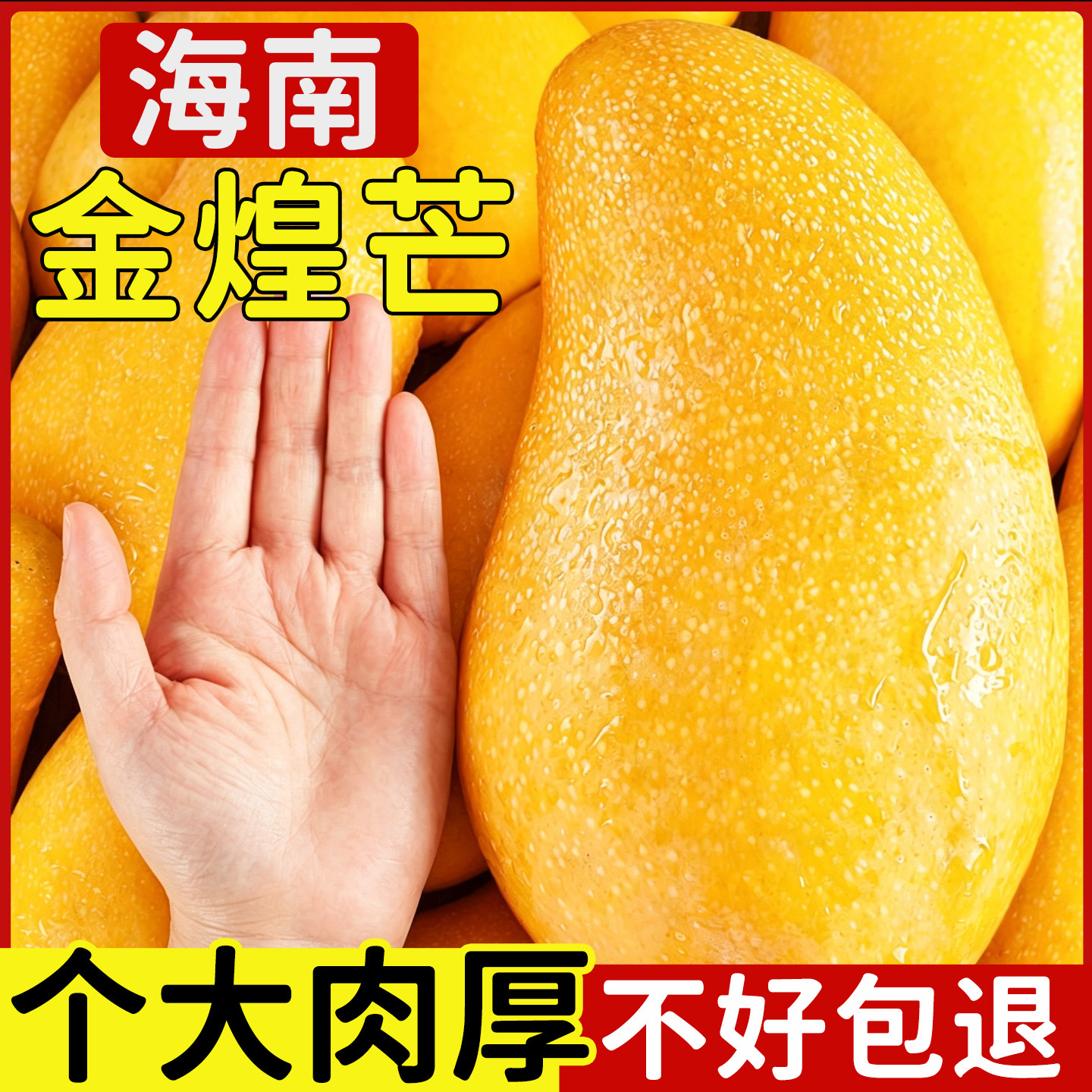 海南金煌芒正宗金煌芒果水仙芒青甜心芒热带水果当季水果整箱批发