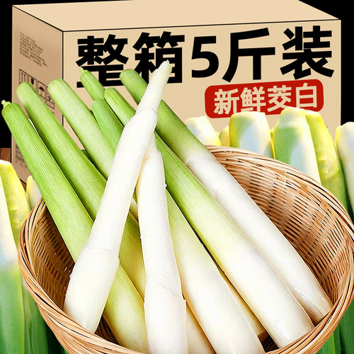买1斤送1斤现挖现发新鲜茭白