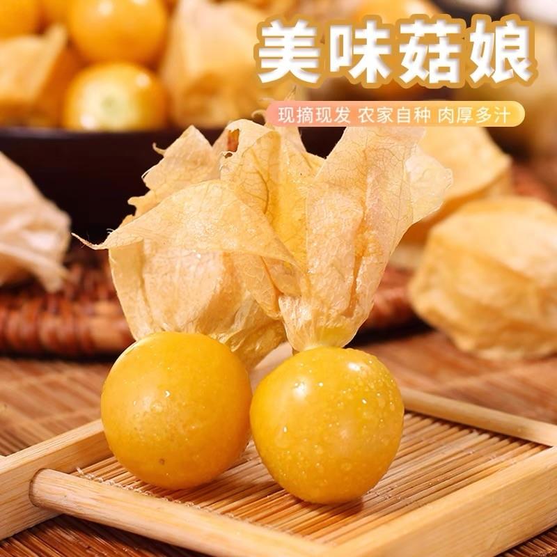 东北姑娘果灯笼果菇娘果香甜新鲜水果产地直发