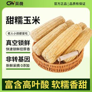 【免费试吃三根】农科玉336高叶酸玉米三粒糯一粒甜到手整箱5.5-6