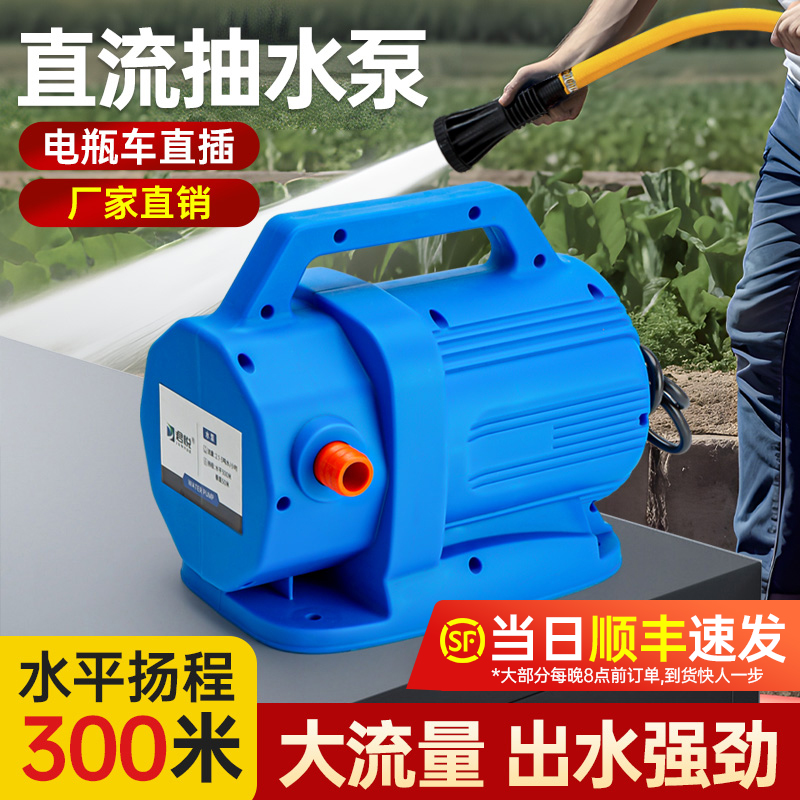 48v60v电动车大流量抽水泵大功率