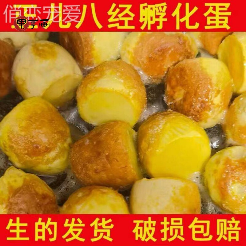 毛蛋商用实蛋毛鸡蛋无毛摆地摊一整箱旺蛋寡蛋凤凰蛋非活珠子