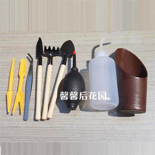 多肉工具套装组合夹子水壶种苗器铲子耙子小铲子园艺种花花铲耙锹