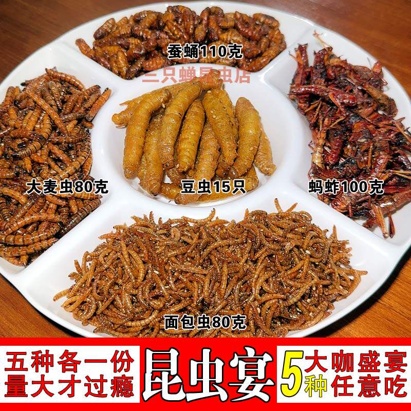 云南炸虫子油炸蚂蚱豆虫蚕蛹蝗虫大麦虫面包虫5种套餐即食昆虫零