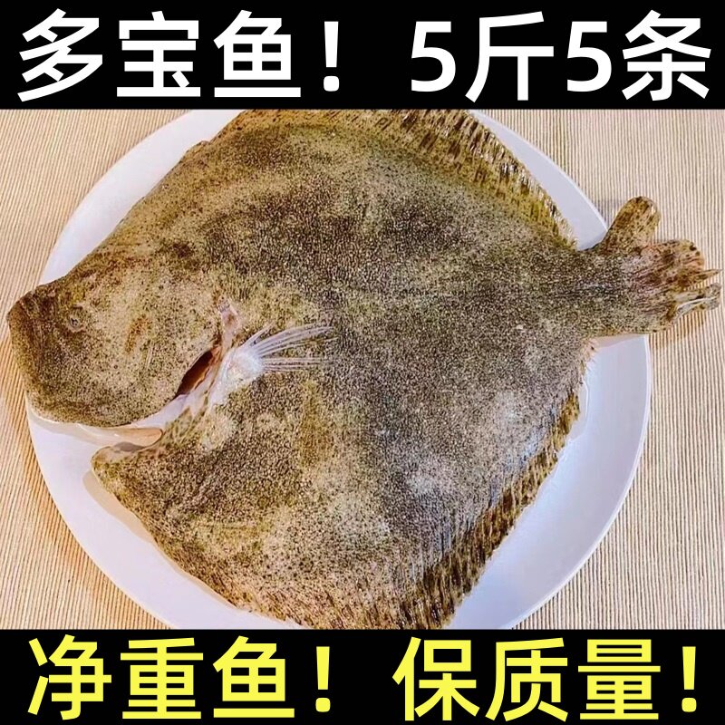 多宝鱼鲜活超大冷冻大比目鱼