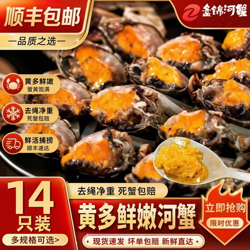 盘锦六月黄鲜活稻田大闸蟹