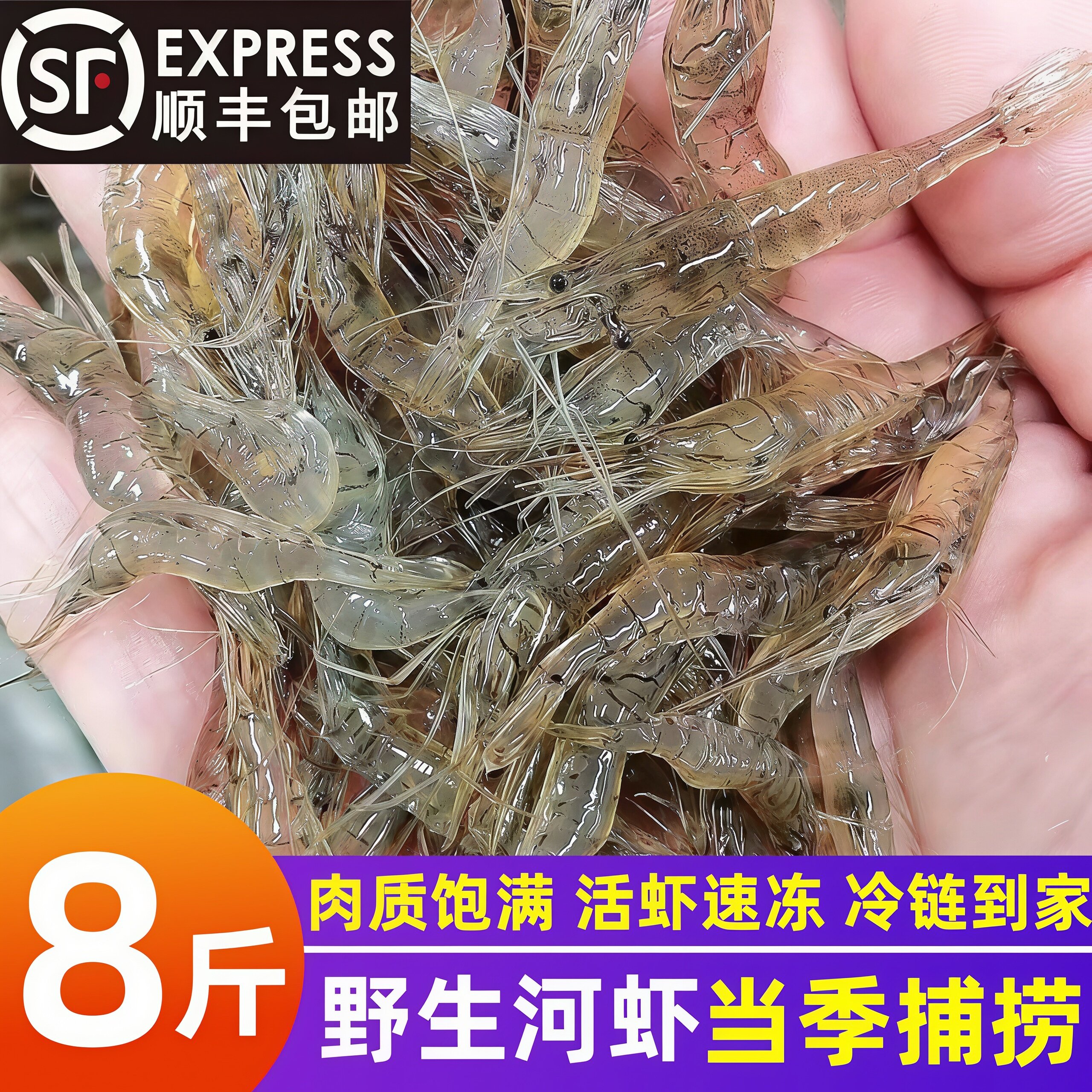 淡水小河虾鲜活速冻当季现捕包邮