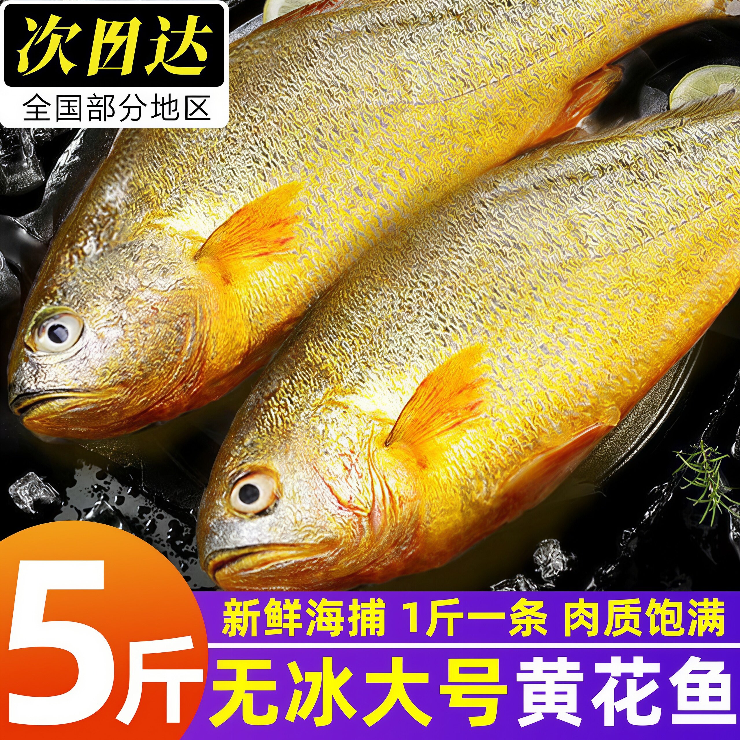 大黄花鱼新鲜冷冻深海大黄鱼