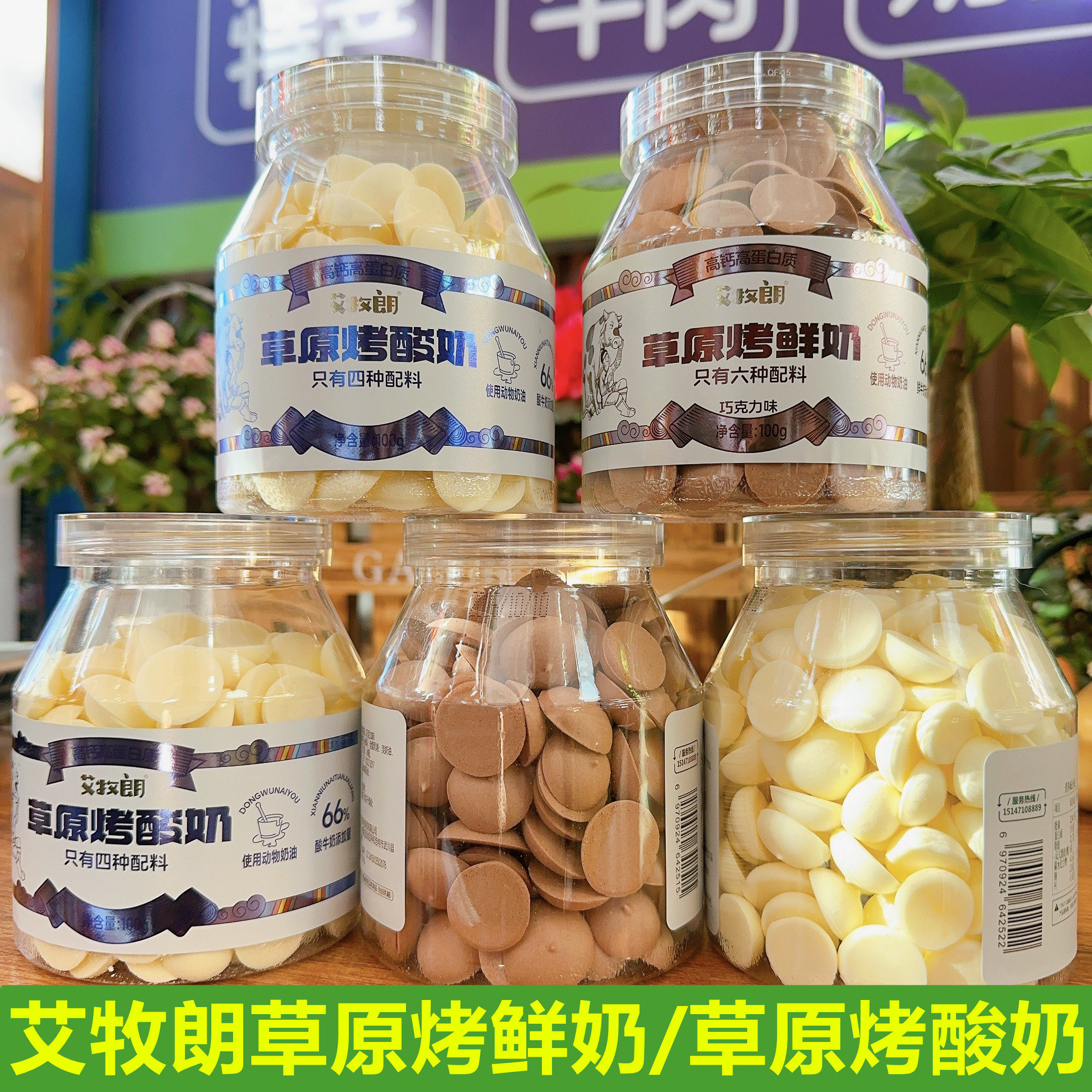 艾牧朗草原烤酸奶内蒙古烤鲜奶片