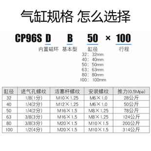 100XX50X75X1050X125 1000 SMC型标准2气缸CP96SDB32