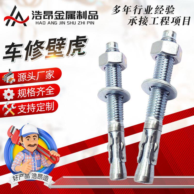 车修壁虎 热镀锌车修拉爆花式膨胀螺丝 攀岩螺钉螺栓电梯用壁虎