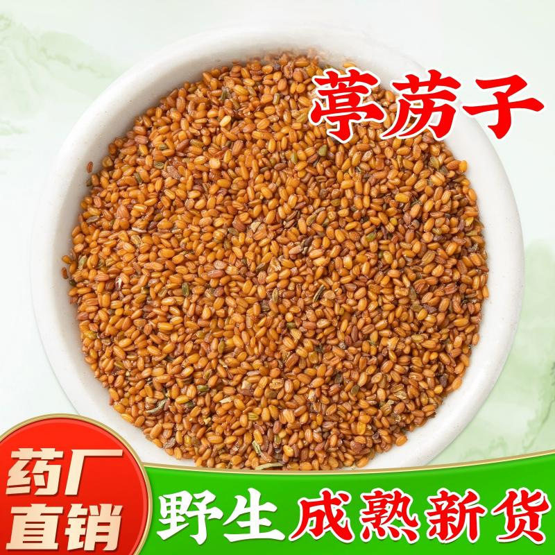 葶苈子搭中草药材官方正品旗舰店100g中药材新鲜正宗