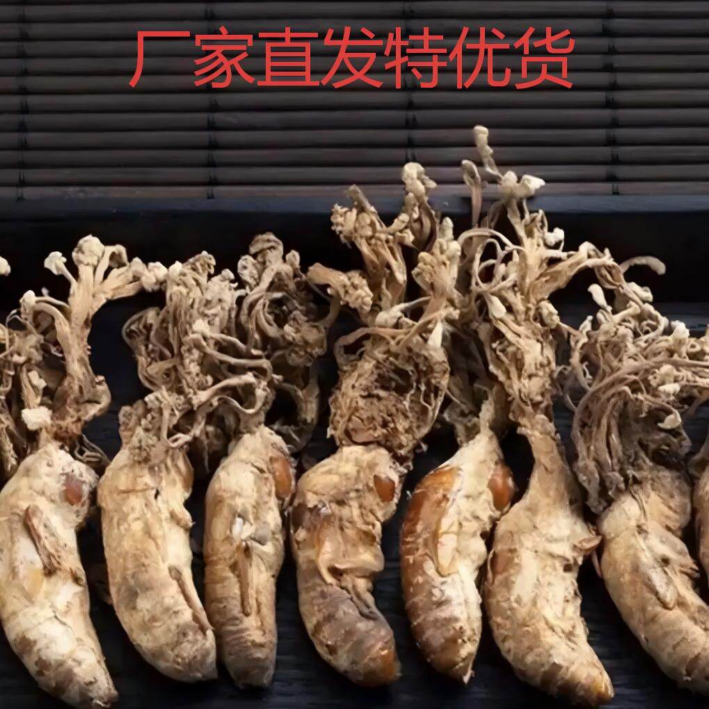 新采大别山野生金蝉花500g蝉花虫草孢子粉知了花金蚕花中药材泡酒