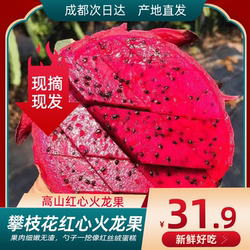 攀枝花高山红心火龙果当季新鲜孕妇水果一件包邮果园现摘现发