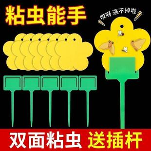 花型粘虫板小黄板小黑虫粘虫板双面防水诱粘剂果园大棚果蝇诱蝇纸