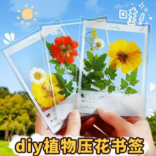 干花书签植物标本塑封膜秋天收集枫叶手工diy材料透明树叶粘贴画