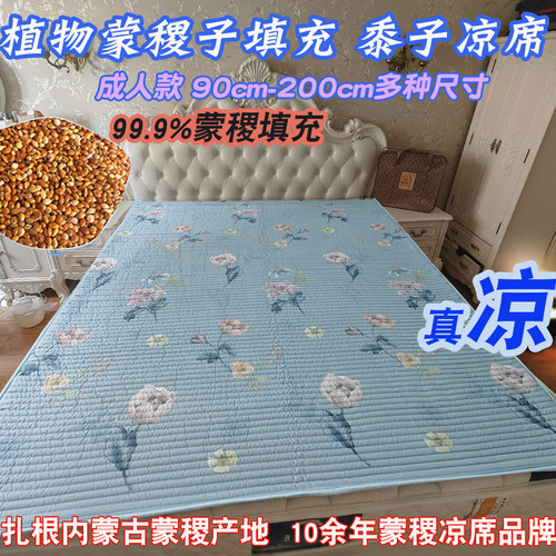A类凉席凉垫志成多维蒙稷双面垫