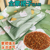 志成多维全蒙稷幼儿枕卡通黍子枕头凉爽透气舒适儿童宝宝多枕