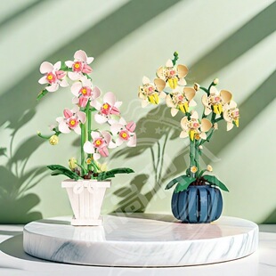 新款【】盆栽花瓶蝴蝶兰仿真花拼装积木解压拼搭摆件玩具礼物