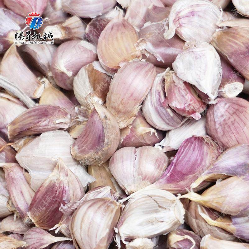 商用分大蒜瓣机 备头加工机械设 蒜头分UAP瓣蒜 破瓣机