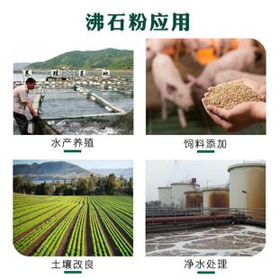 23天应A沸石粉顺土壤改良绿沸石粉供水产养殖除氨氮吸附4剂规格多