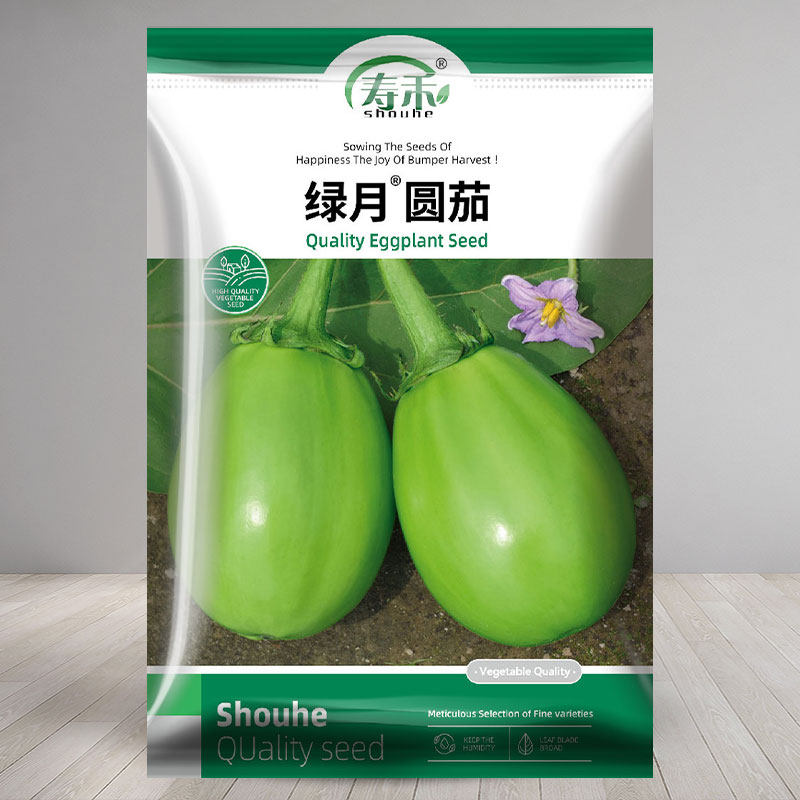 绿圆茄种子苗秧大籽青全高