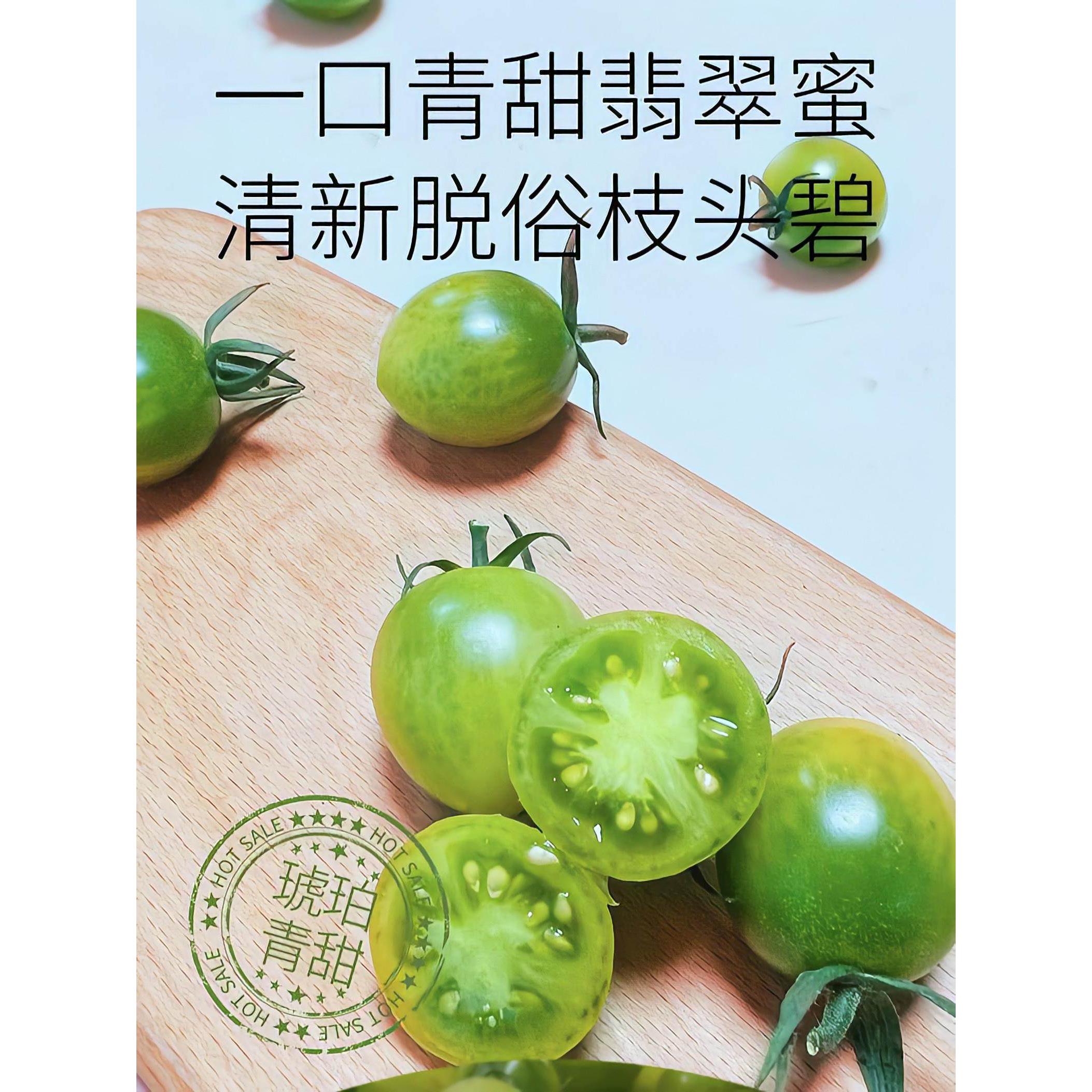 琥珀青口蜜小番茄甜2号圣